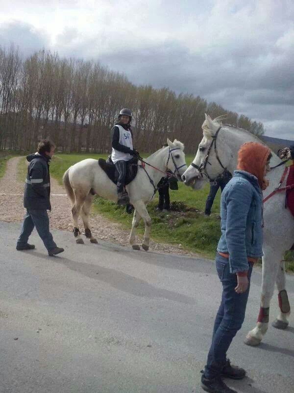 Participación Navarra en la X. edición del Raid de Leciñena de Oca (Álava)